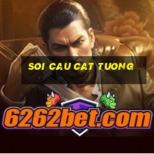 soi cau cat tuong