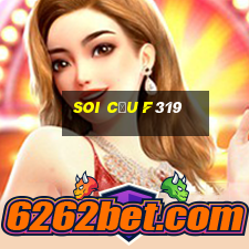 Soi Cầu F319