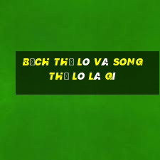 bạch thủ lô và song thủ lô là gì