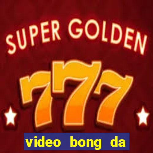 video bong da world cup 2022