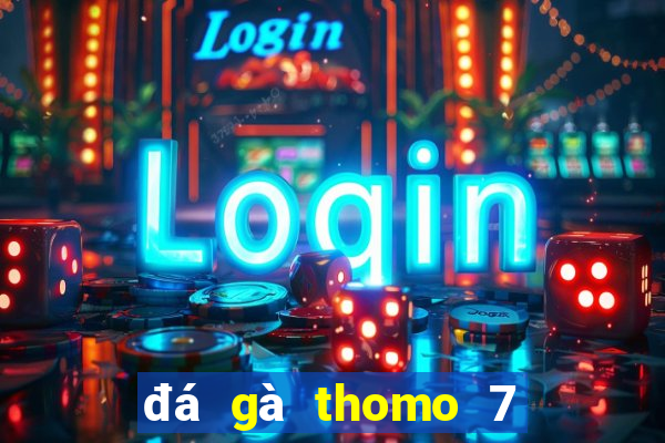 đá gà thomo 7 8 2019