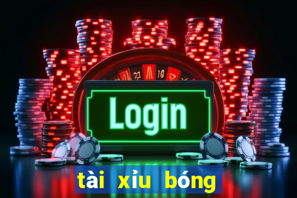 tài xỉu bóng đá việt nam