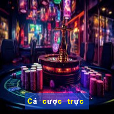 Cá cược trực tuyến topbet888