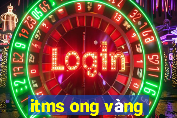 itms ong vàng