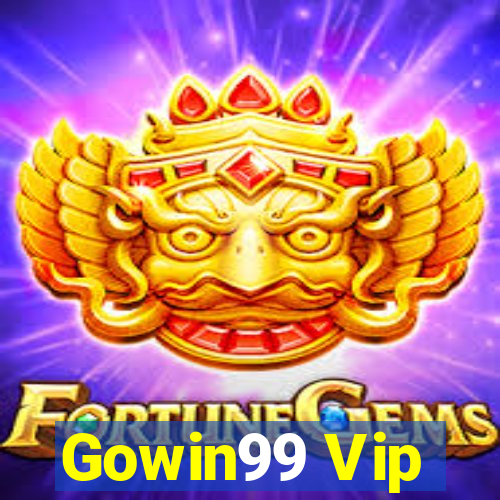 Gowin99 Vip