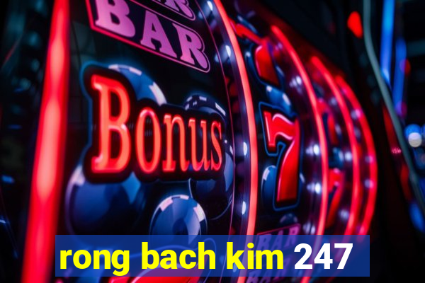 rong bach kim 247