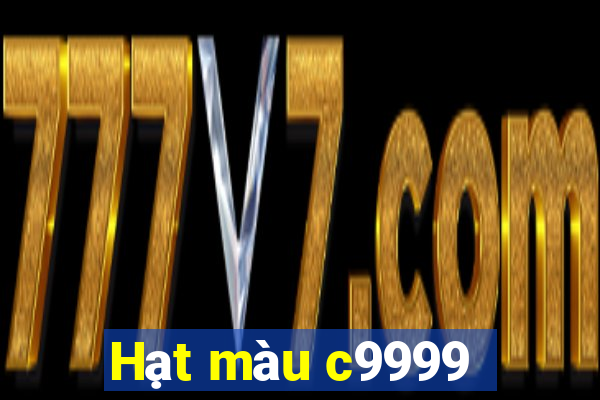 Hạt màu c9999