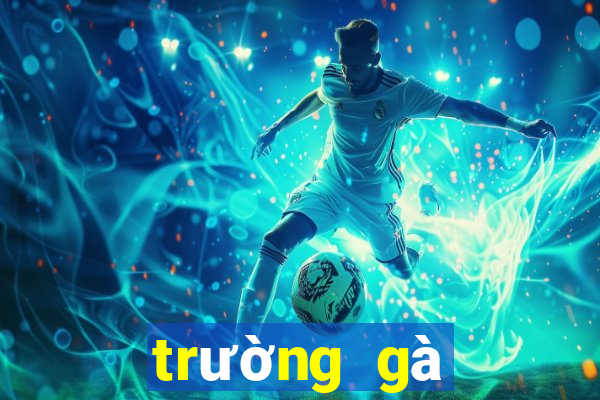 trường gà quốc tế casino 888