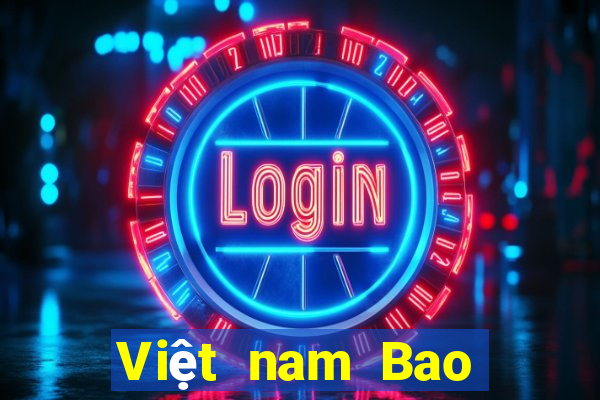 Việt nam Bao Ying Description