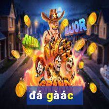 đá gà ác