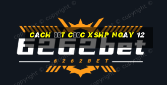 Cách đặt cược XSHP ngày 12