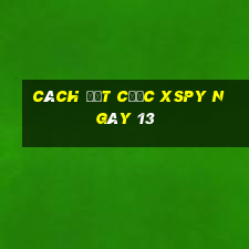 Cách đặt cược XSPY ngày 13