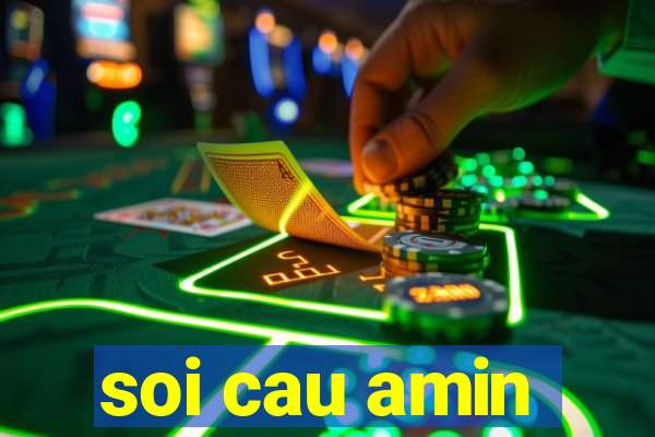 soi cau amin