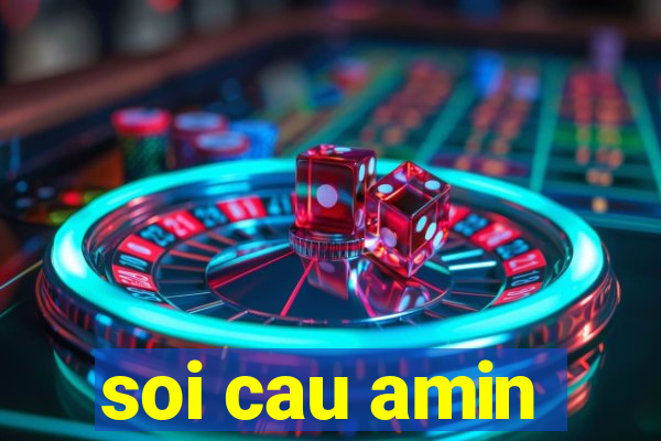 soi cau amin