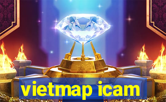 vietmap icam