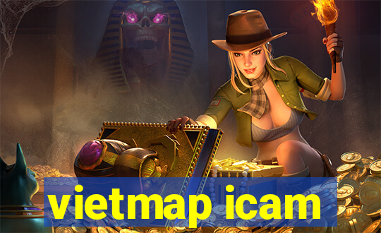 vietmap icam