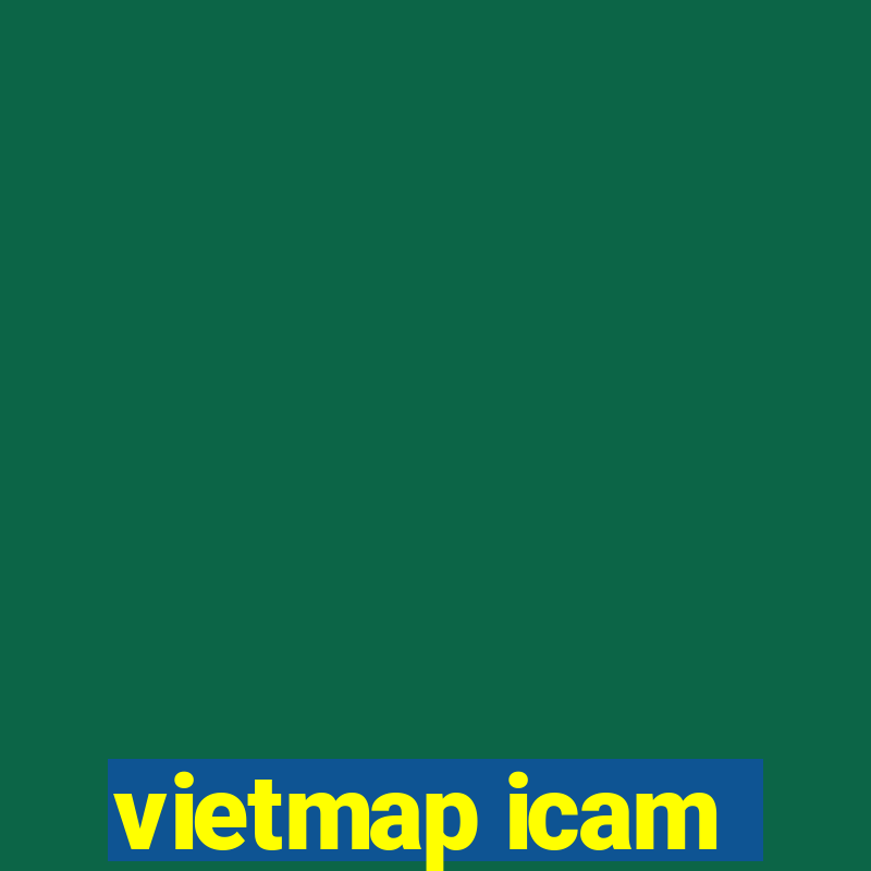 vietmap icam