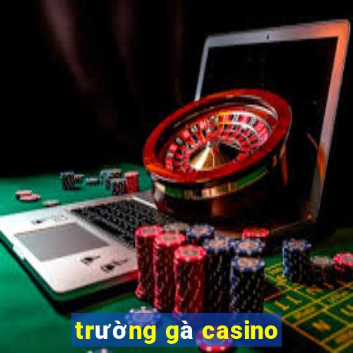 trường gà casino