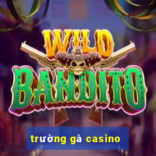 trường gà casino