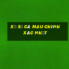 xổ số cà mau chính xác nhất