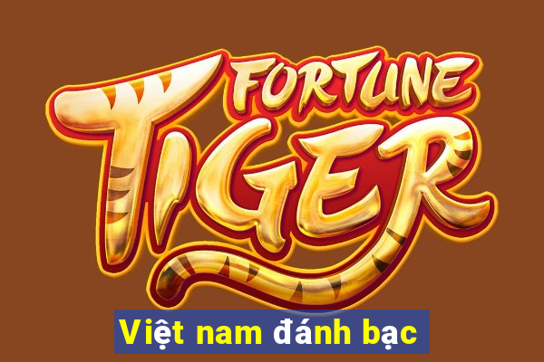 Việt nam đánh bạc