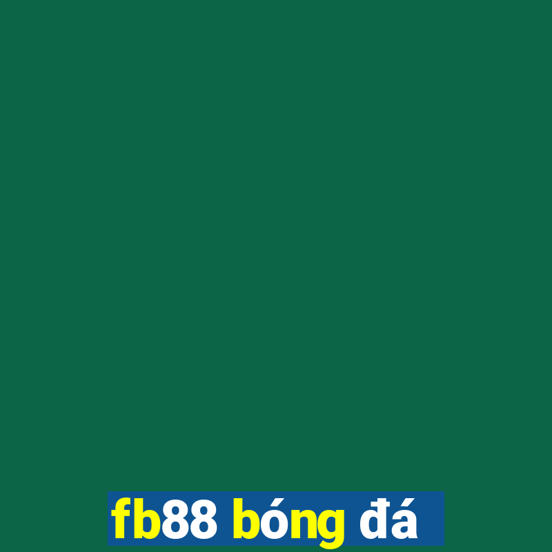 fb88 bóng đá