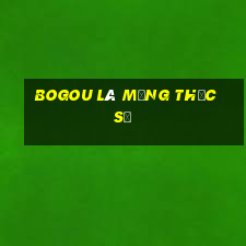 BOGou là mạng thực sự