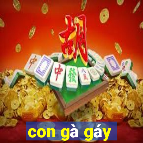 con gà gáy