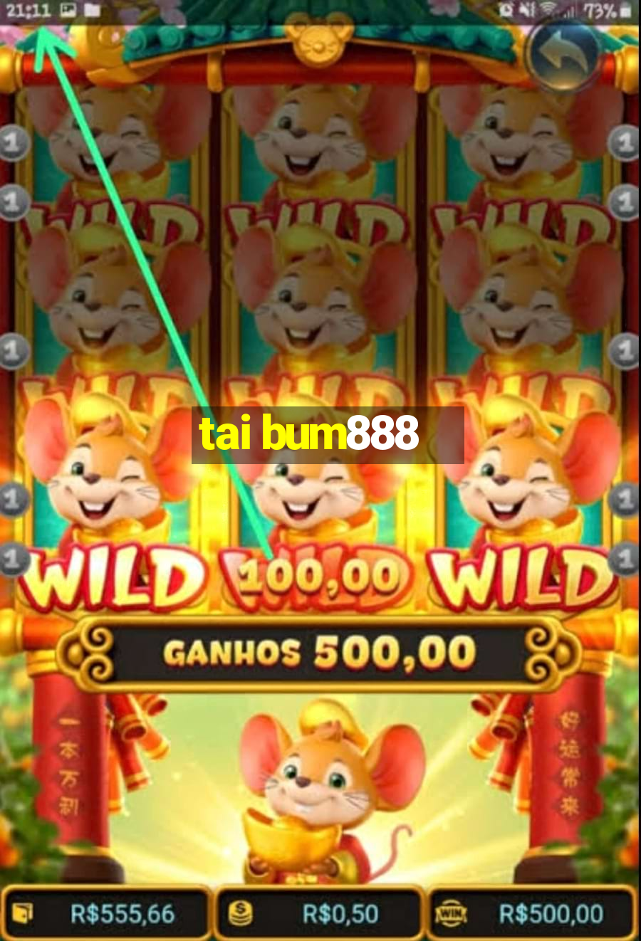 tai bum888