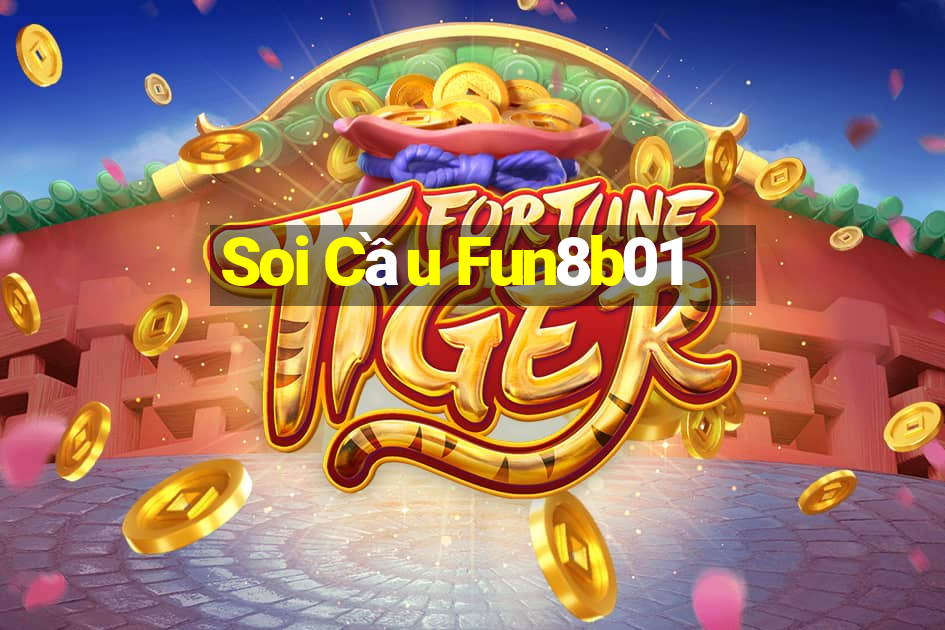 Soi Cầu Fun8b01