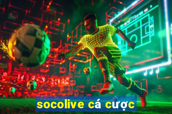 socolive cá cược