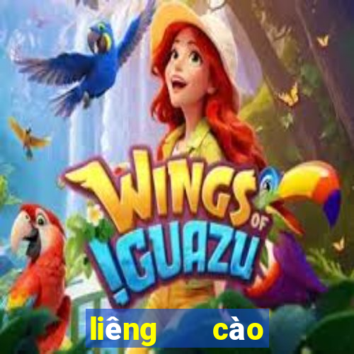 liêng   cào tố   3 cây