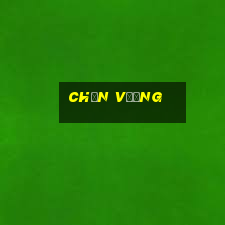 chắn vương