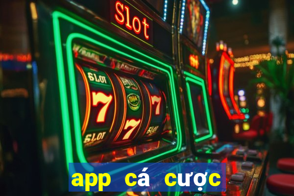 app cá cược bóng đá