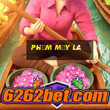 phỏm mấy lá