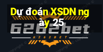 Dự đoán XSDN ngày 25