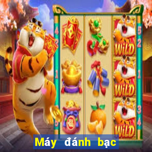 Máy đánh bạc Sói đen