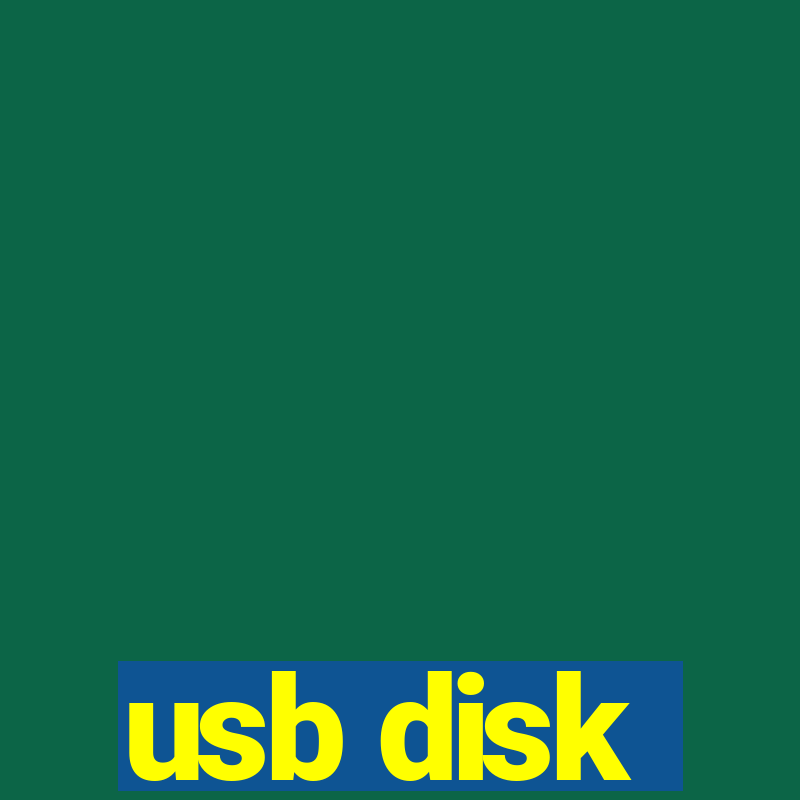 usb disk