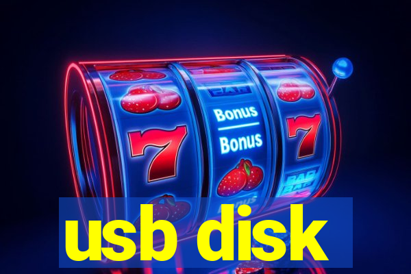 usb disk