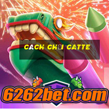 cách chơi catte