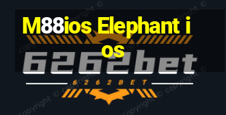 M88ios Elephant ios