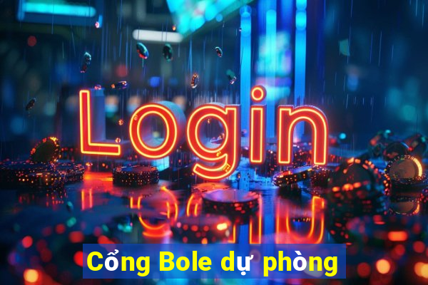 Cổng Bole dự phòng