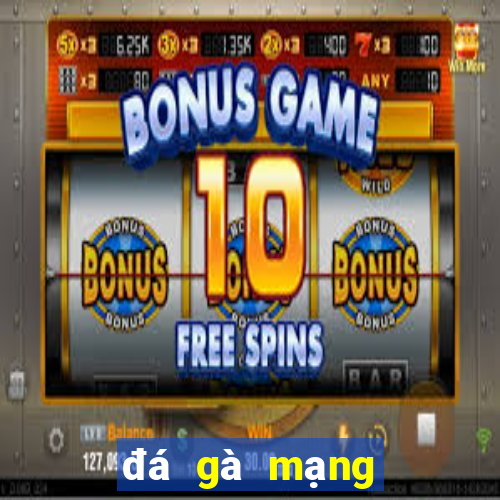 đá gà mạng trực tiếp casino