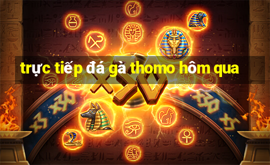 trực tiếp đá gà thomo hôm qua