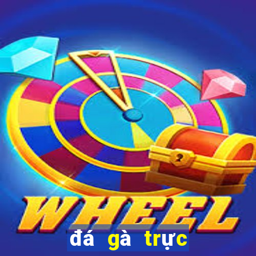 đá gà trực tuyến casino