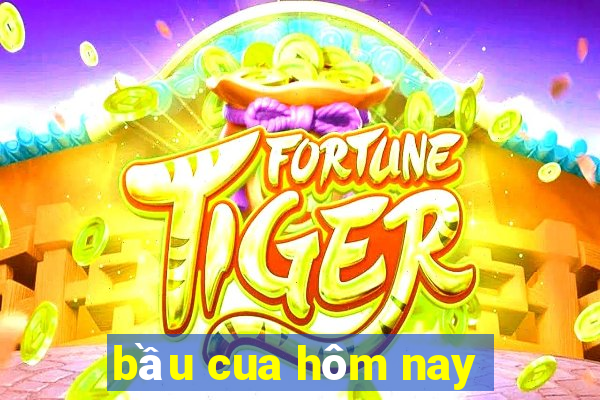 bầu cua hôm nay