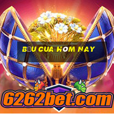 bầu cua hôm nay