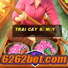 trái cây số mấy