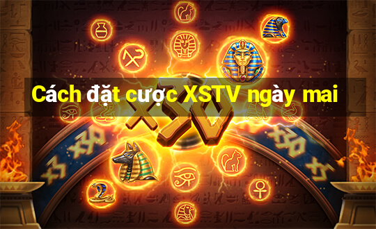 Cách đặt cược XSTV ngày mai