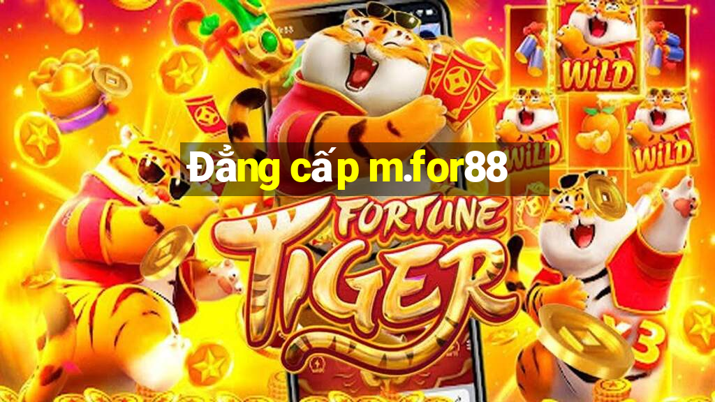 Đẳng cấp m.for88